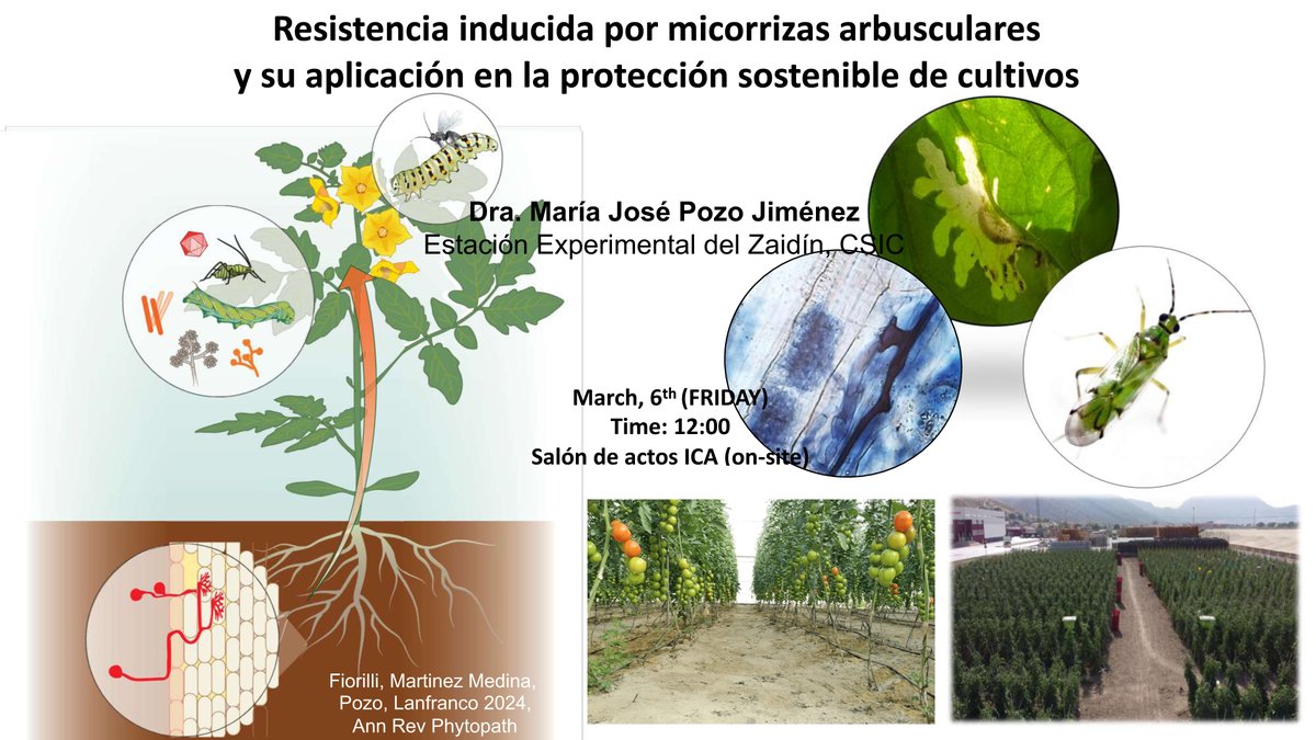 ICA_CSIC tweet media