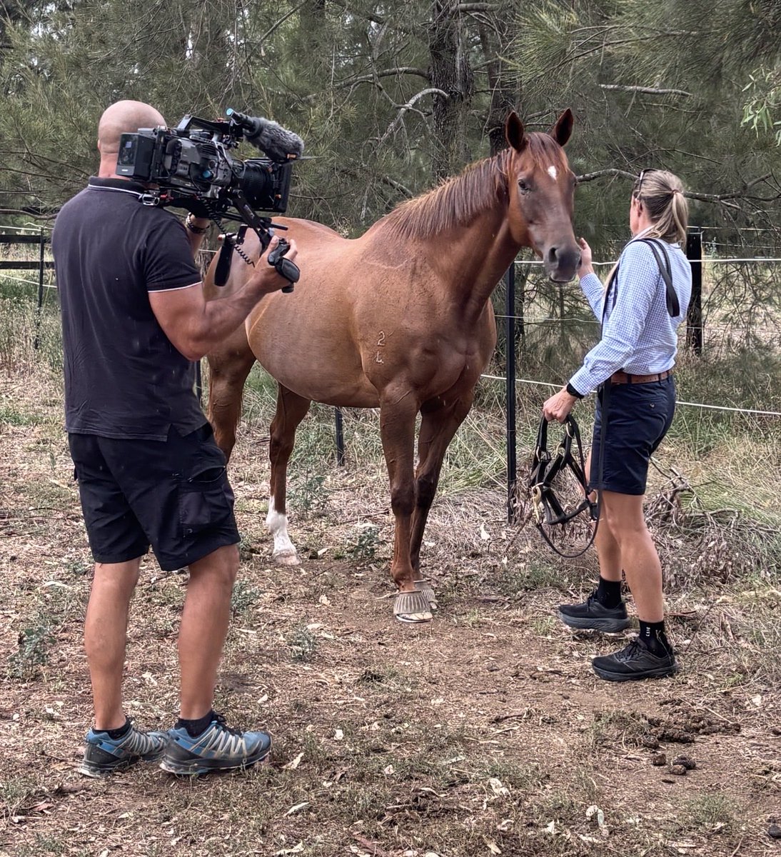 Caroline tweet media