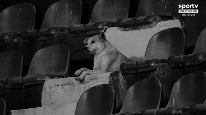 Libertadores y Sudamericana: relictos del fútbol que alguna vez conocimos. En pocos años, los equipos suramericanos se enfrentarán entre ellos para saber quién avanza a jugar contra Inter de Miami, la final en alguna ciudad de EEUU y las tribunas con más apostadores que hinchas.