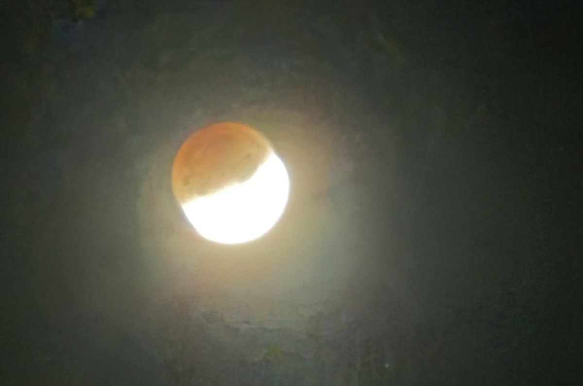 Chelsea Laden tweet media