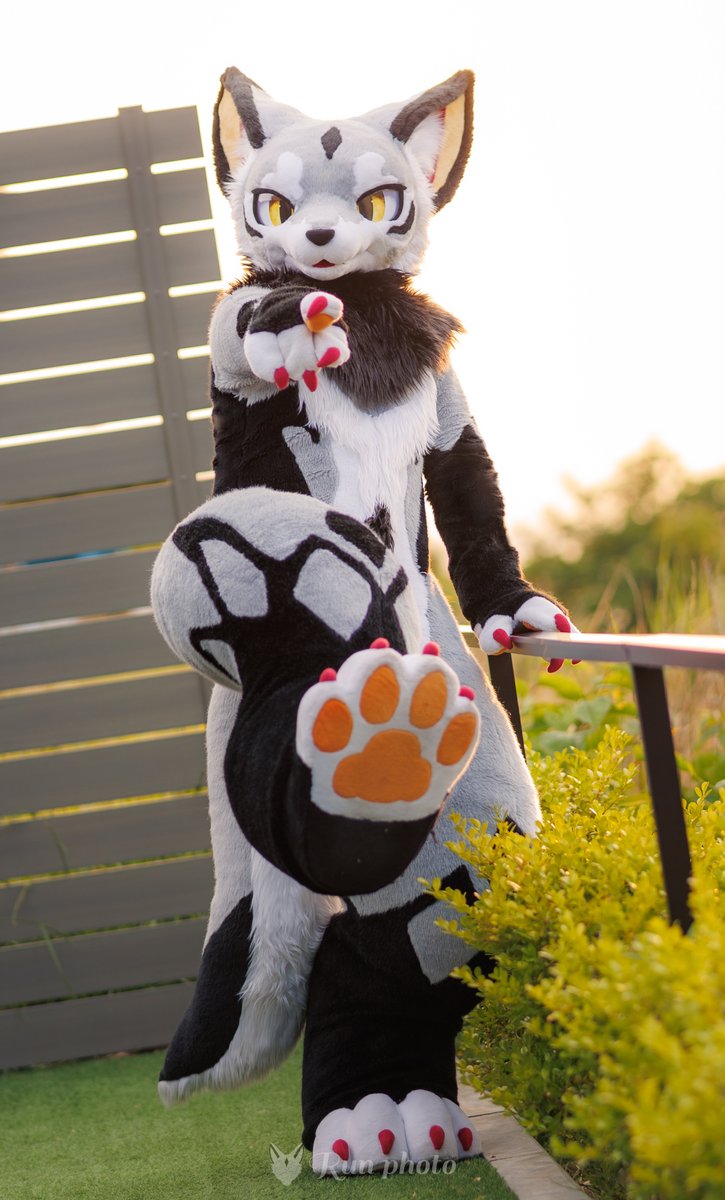 るん (Run)→FurstClass (@run_charizard) / Posts / X