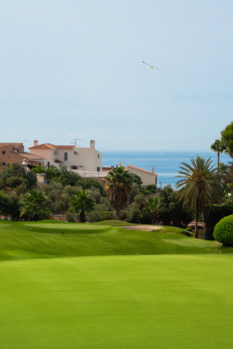 Añoreta Resort tweet media