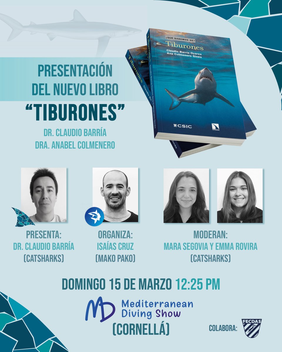 Catsharks tweet media