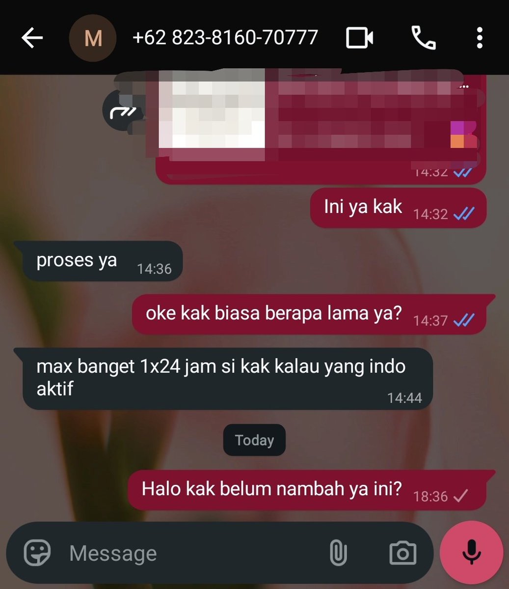 Aya. tweet media