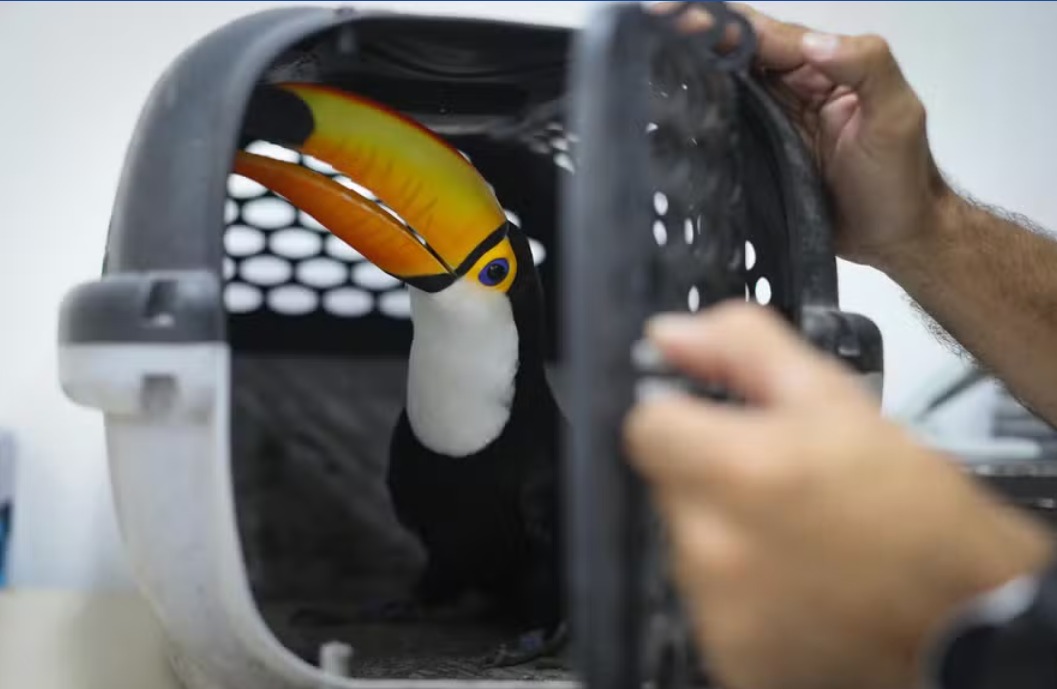 UNODC Environment Team tweet media