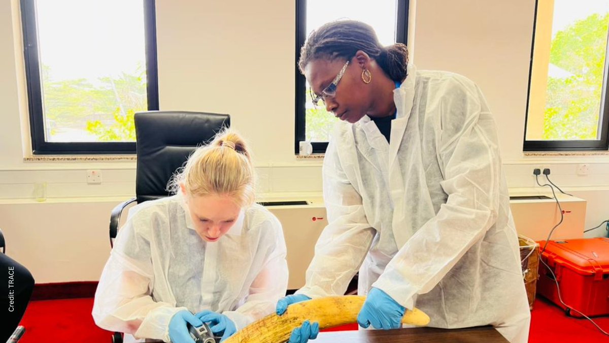 UNODC Environment Team tweet media