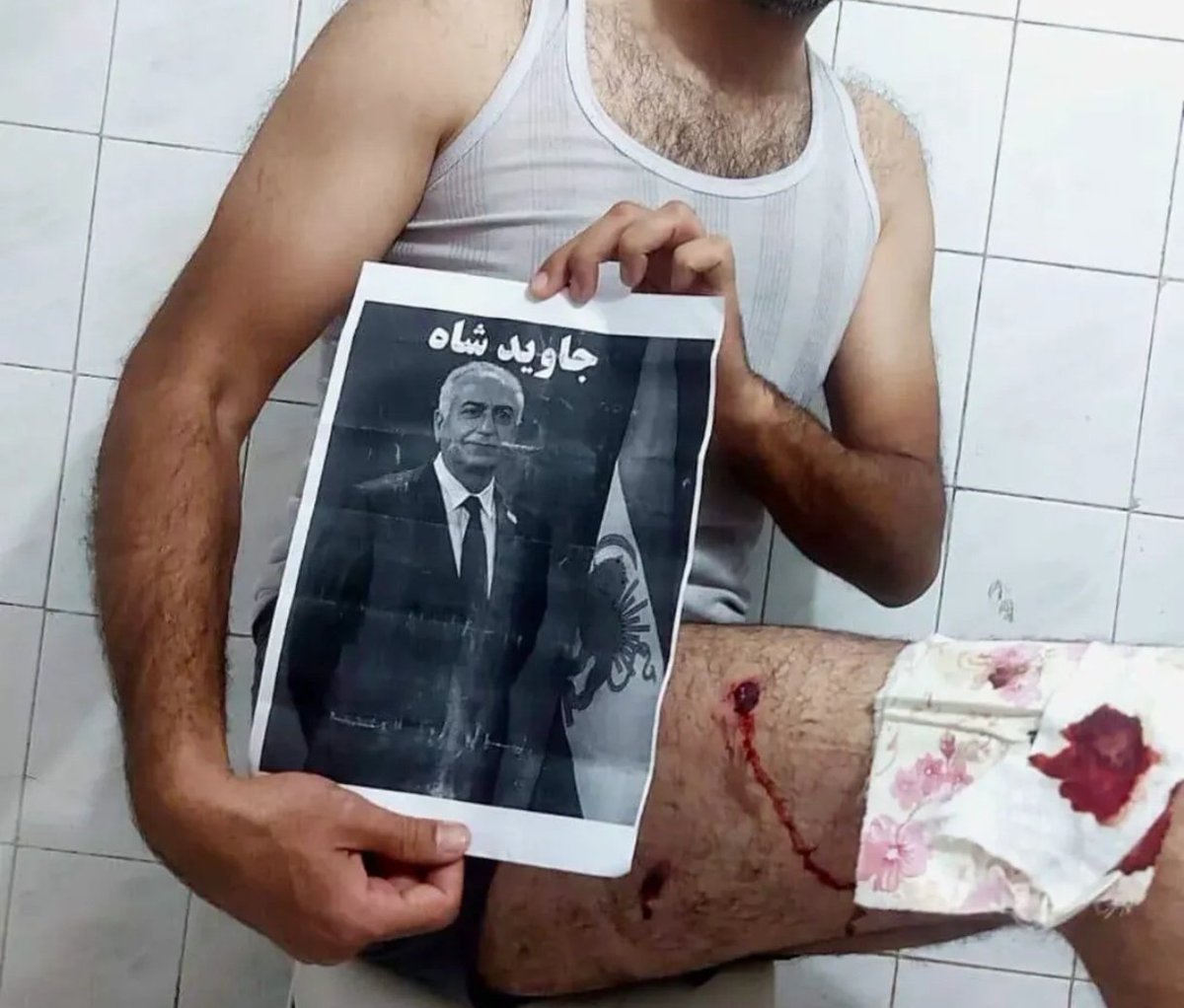ParisSh99's tweet photo. @IsraelArmyStan Yes , we will die and we will live for our crown prince Reza. He is the only alternative, leader and future king of Free Iran. 
#FreeIran #KingRezaPahlavi 
#Iran https://t.co/FfqcF4mxOJ