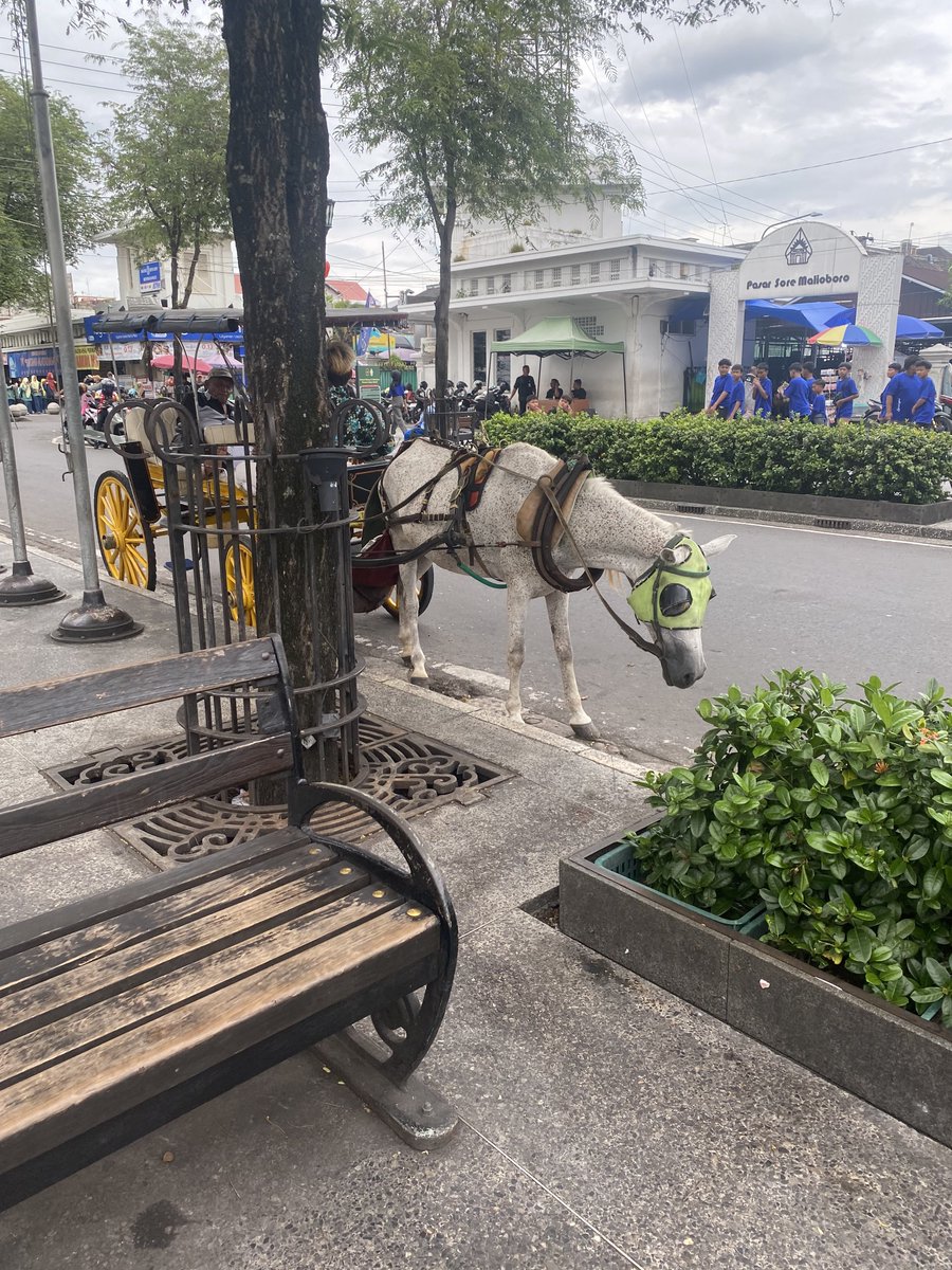 KAPI🐋 tweet media