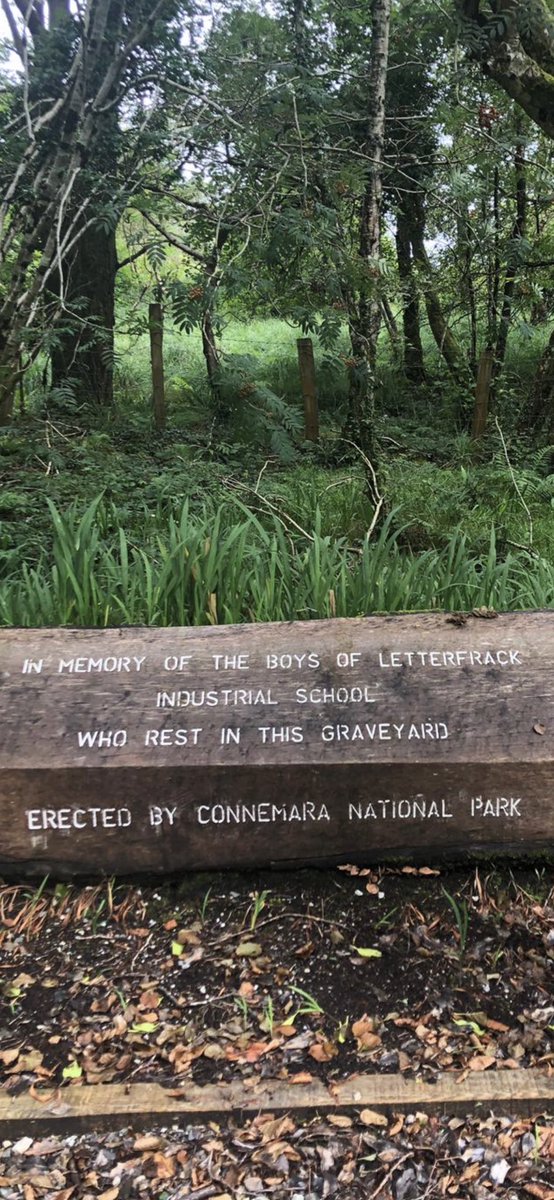 Breeda Murphy tweet media