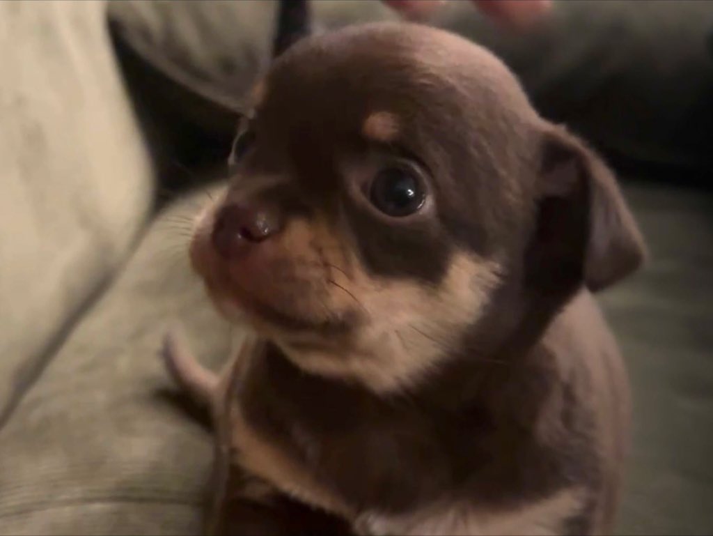 อารีอาน่าน่ารักจริงๆ ฮือ เหมือนจุงมาก