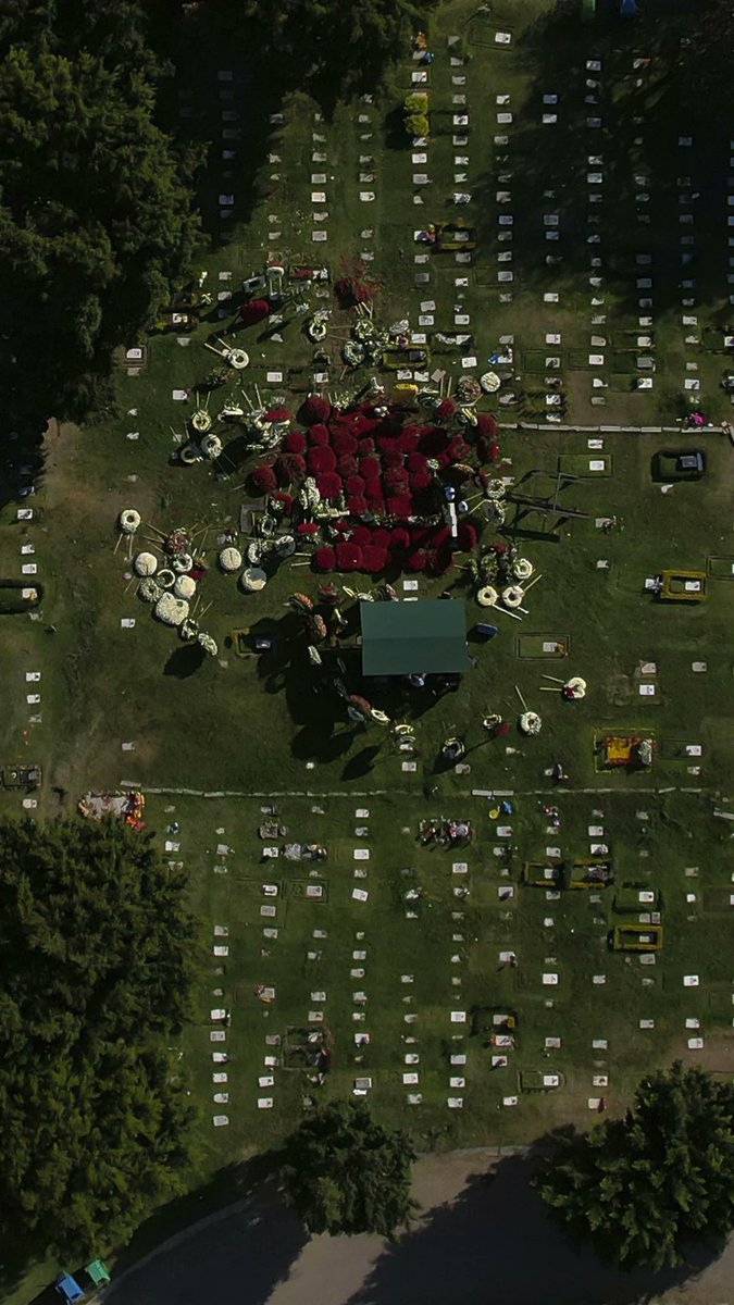 Worldwar_x tweet media