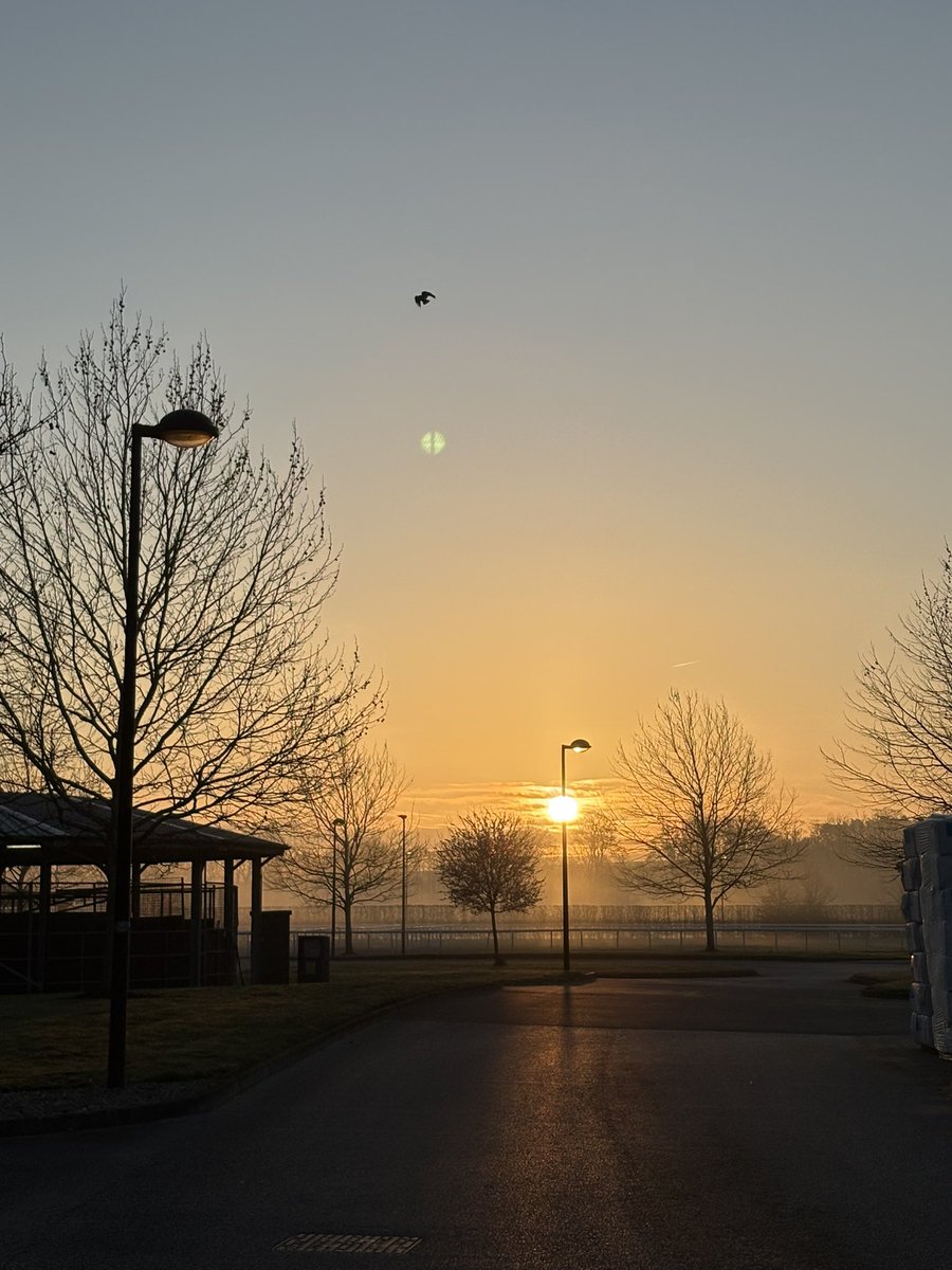 Andrea Anderson tweet media