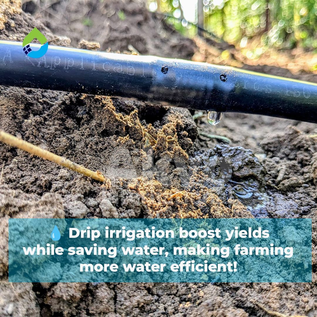 Akvo International Limited tweet media