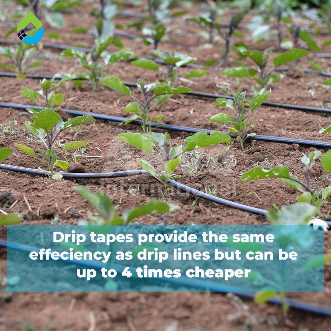 Akvo International Limited tweet media