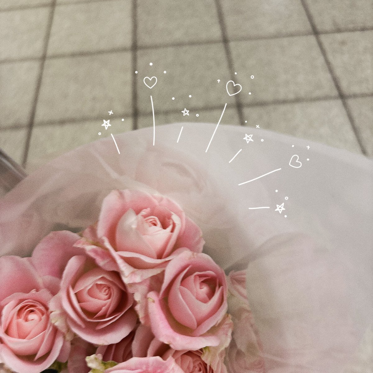 みんなっは衝動買いするタイプ⁉️
はてなは今日、お花を衝動買いしたです💐🥰るんるんきぶん♩*。♫.°♪*。♬