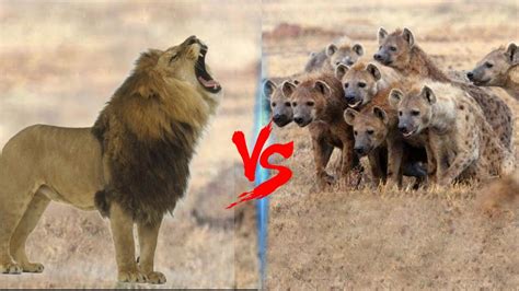 The League of Fatigued tweet media