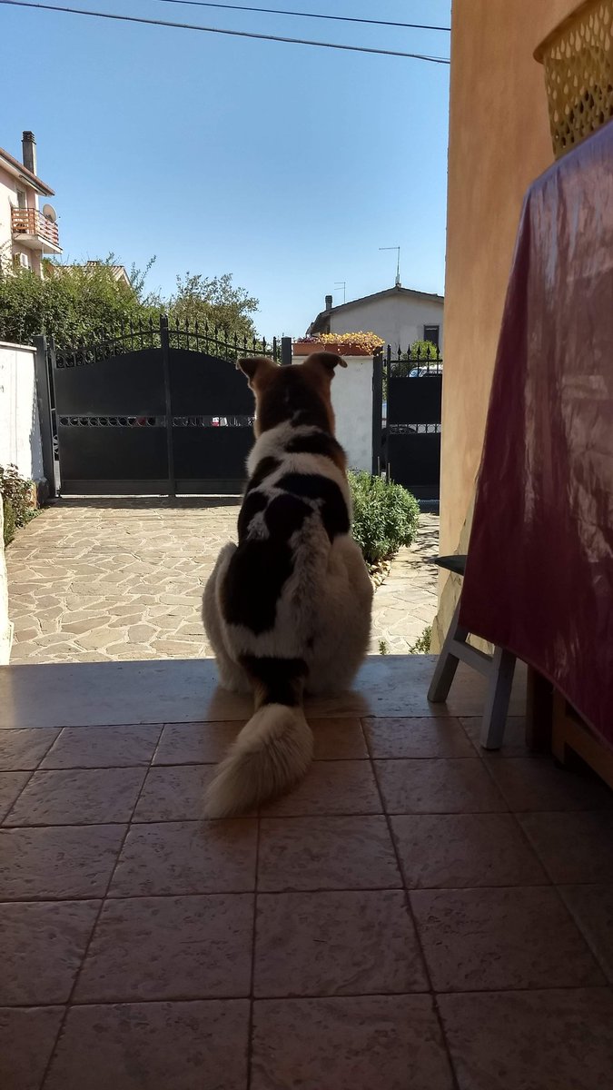 MaZingra tweet media