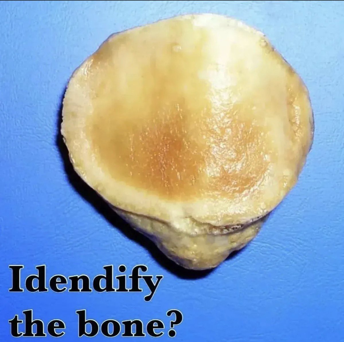 SAGE MEDICAL⚕️ tweet media