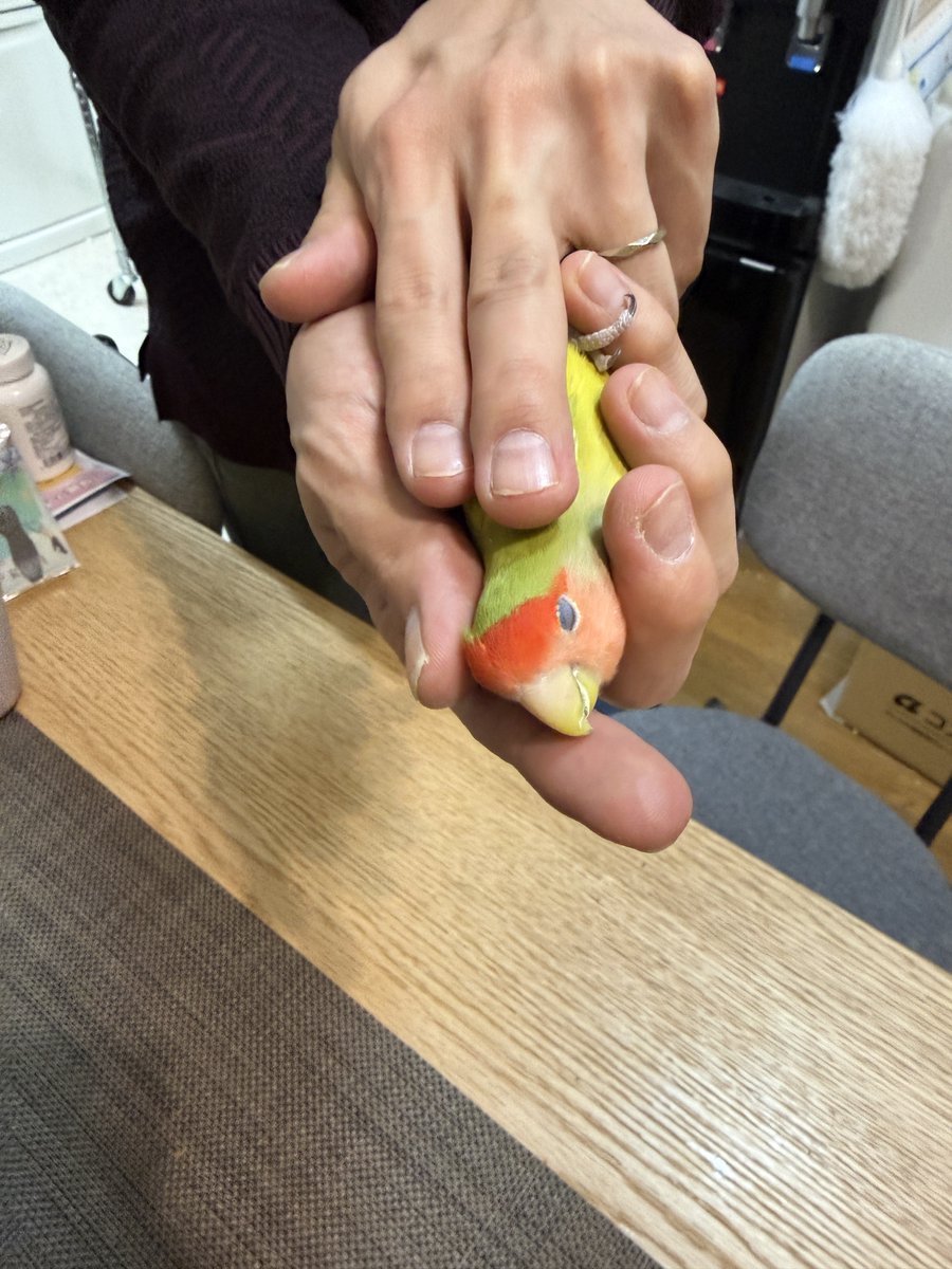 黒川りくWFありがとうございました！ (@ri_ku_n) / Posts / X