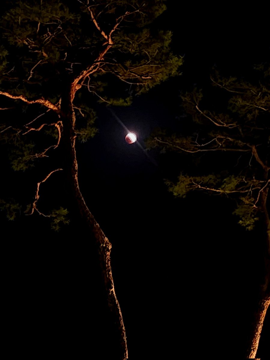 마법사 지망생 사담계 tweet media