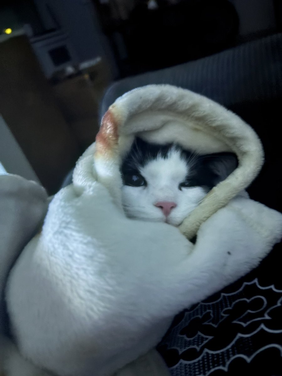 ❤️The Wr13r❤️ tweet media