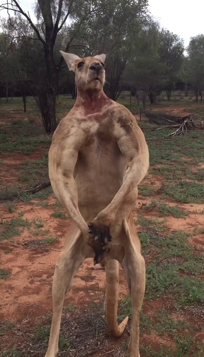 Post by マコト(我道) on X: 残業続きで今コレ