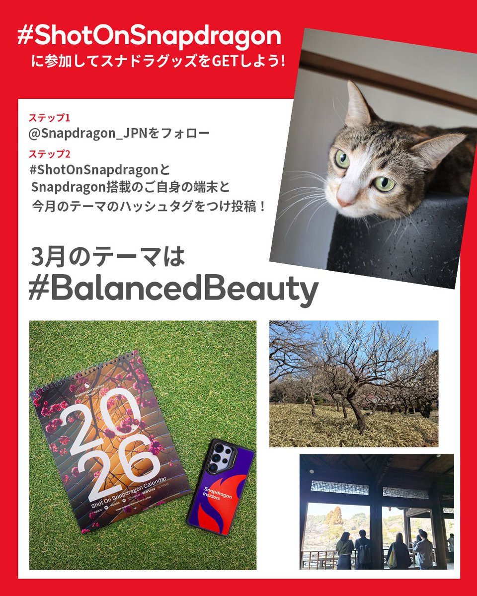 Snapdragon_JPN's tweet image. あなたのスナドラ搭載端末をつかって
#ShotOnSnapdragon に参加しよう📸
3月のテーマは #BalancedBeauty

参加者の中から抽選でスナドラノベルティをプレゼント！今月はオリジナルカレンダー🎁

あなたの素敵なショットをシェアしてください🍃