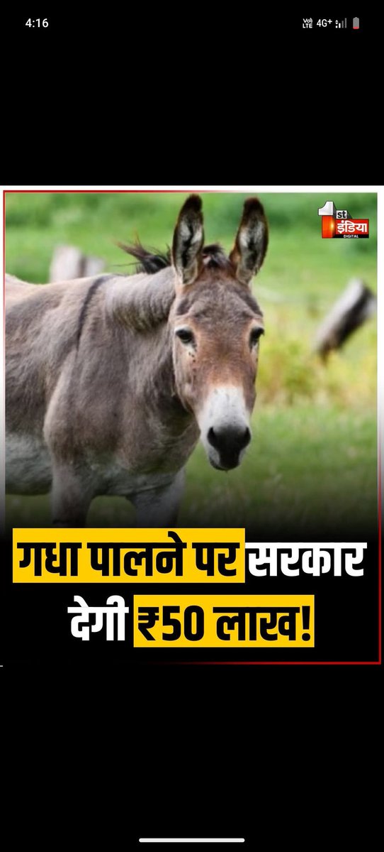 कुछ भी कहो सबको अपना टाइम आता है 😅
गधा पालने पर सरकार देगी ₹50 लाख! 
सुनकर हैरानी होगी लेकिन ये सच है, अगर आप गधे-घोड़े पालन शुरू करना चाहते हैं, तो केंद्र सरकार आपको 50 लाख रुपये तक की मदद देगी