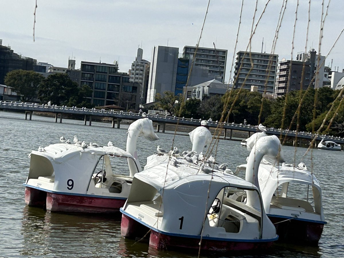 今日はバタついてて
キャパオーバー気味に
なんとか一日お仕事がんばって

ふと鏡を見て気づいたの

ま　ゆ　げ　が　な　い　！

‥ぇ、、うそ。
今日をやり直したくなりました🫠
誰か教えてれぇw

桃の節句に、女子力を失いました‥🙈

#今日のやらかし　

※画像と内容は関係ありません