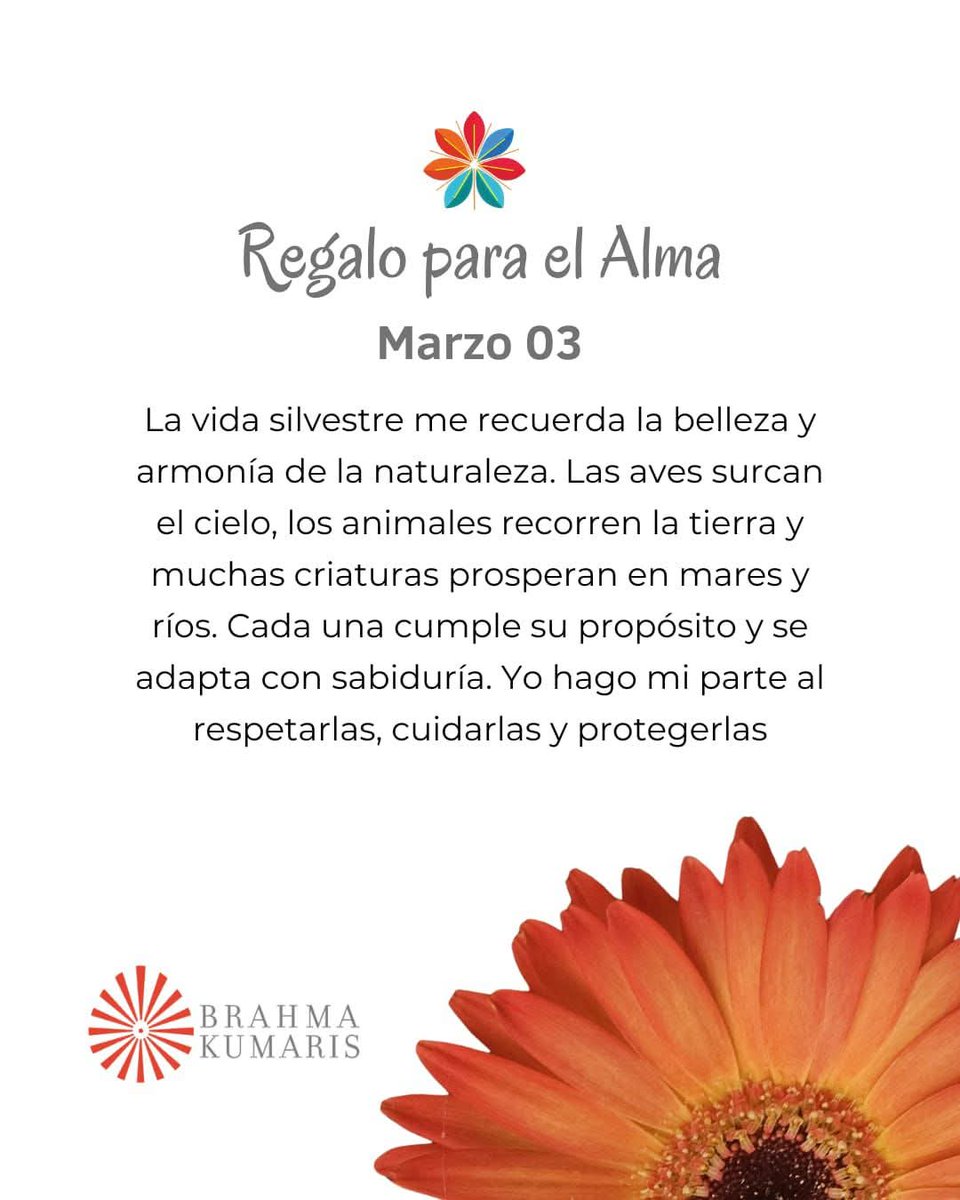 Aurora Robles U. (@tita_roblesu) on Twitter photo 