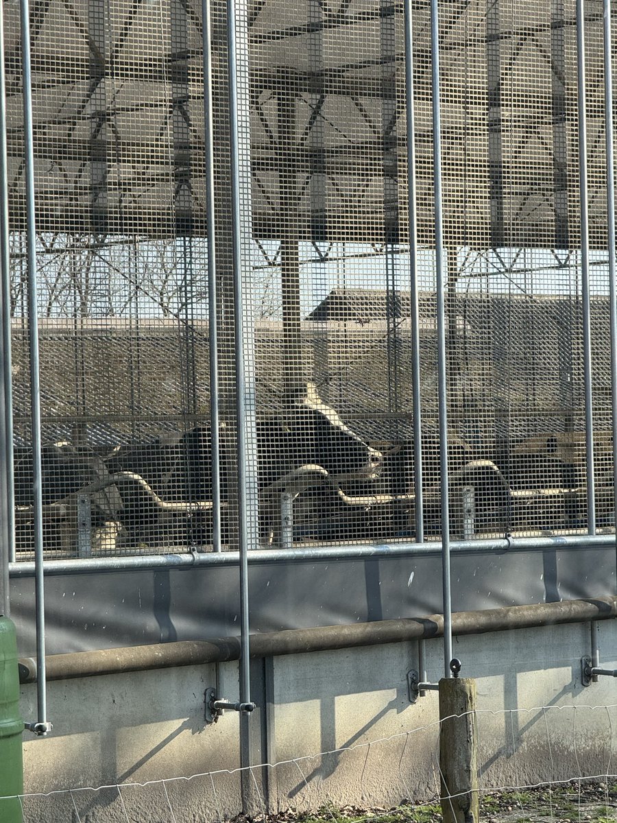 nien 🎀 tweet media