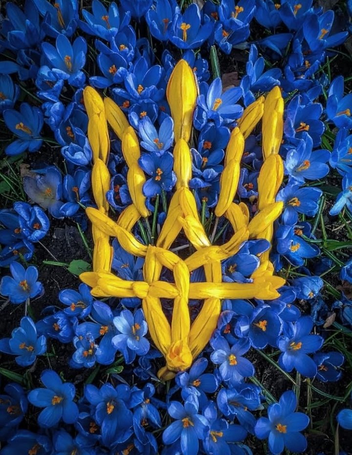 FacciniMyriam's tweet image. They NEED us.  Let's go✊️
Mission status:
✅ $10,096 collected! (+$161)
🎯 $604 to activate the closing matching!
⏳ Running for 43 days (6 days until the deadline)
Boost, donate if you can and rt Oleksii ☝️ for more visibility  
#ourwar #SupportUkraine