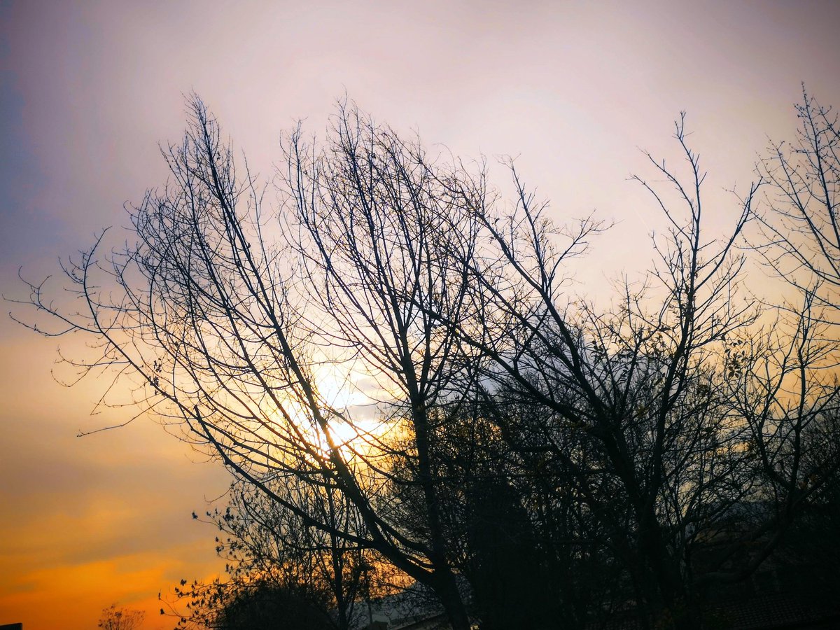 Esther Vilà Orta tweet media