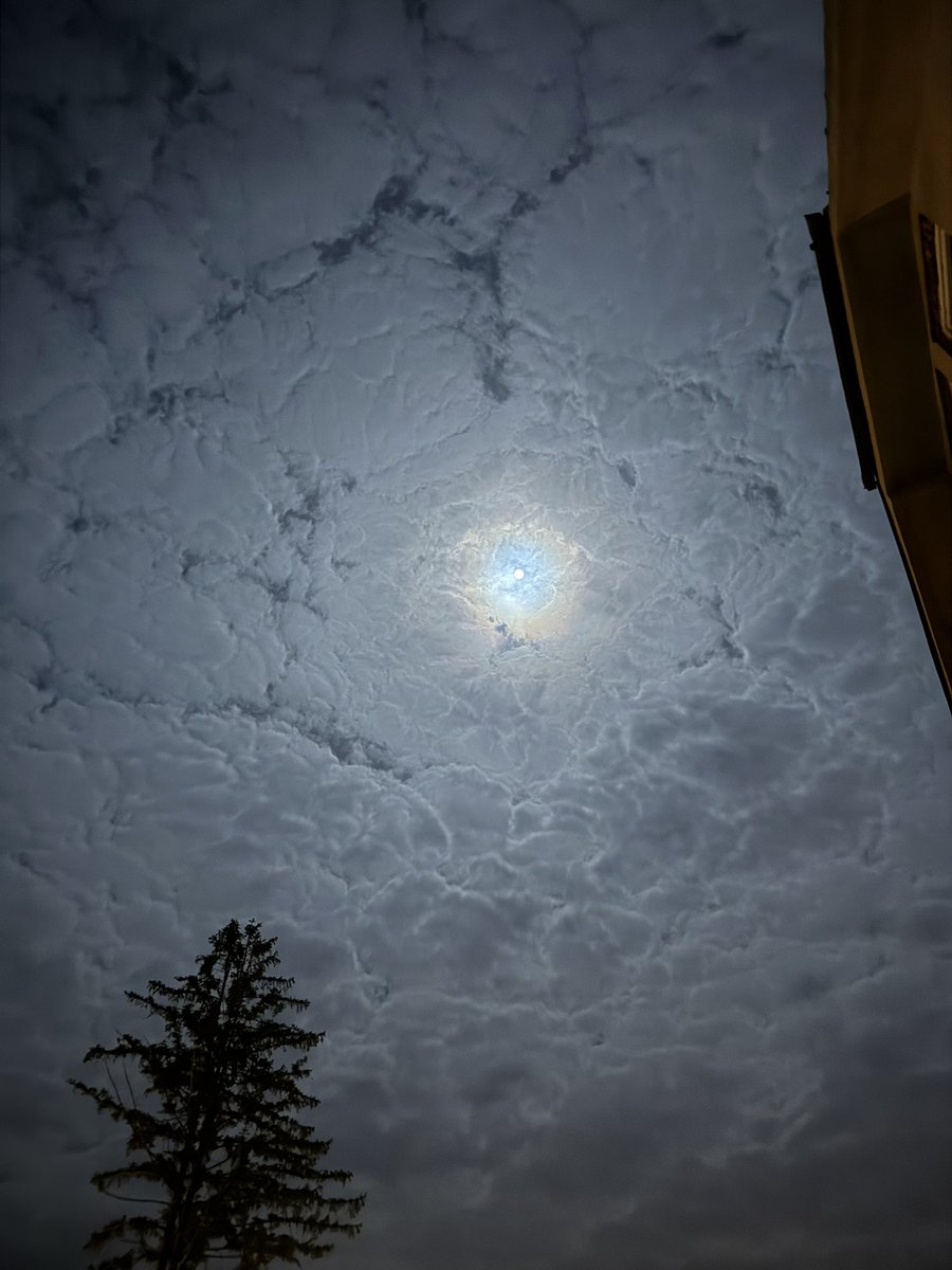 мики tweet media