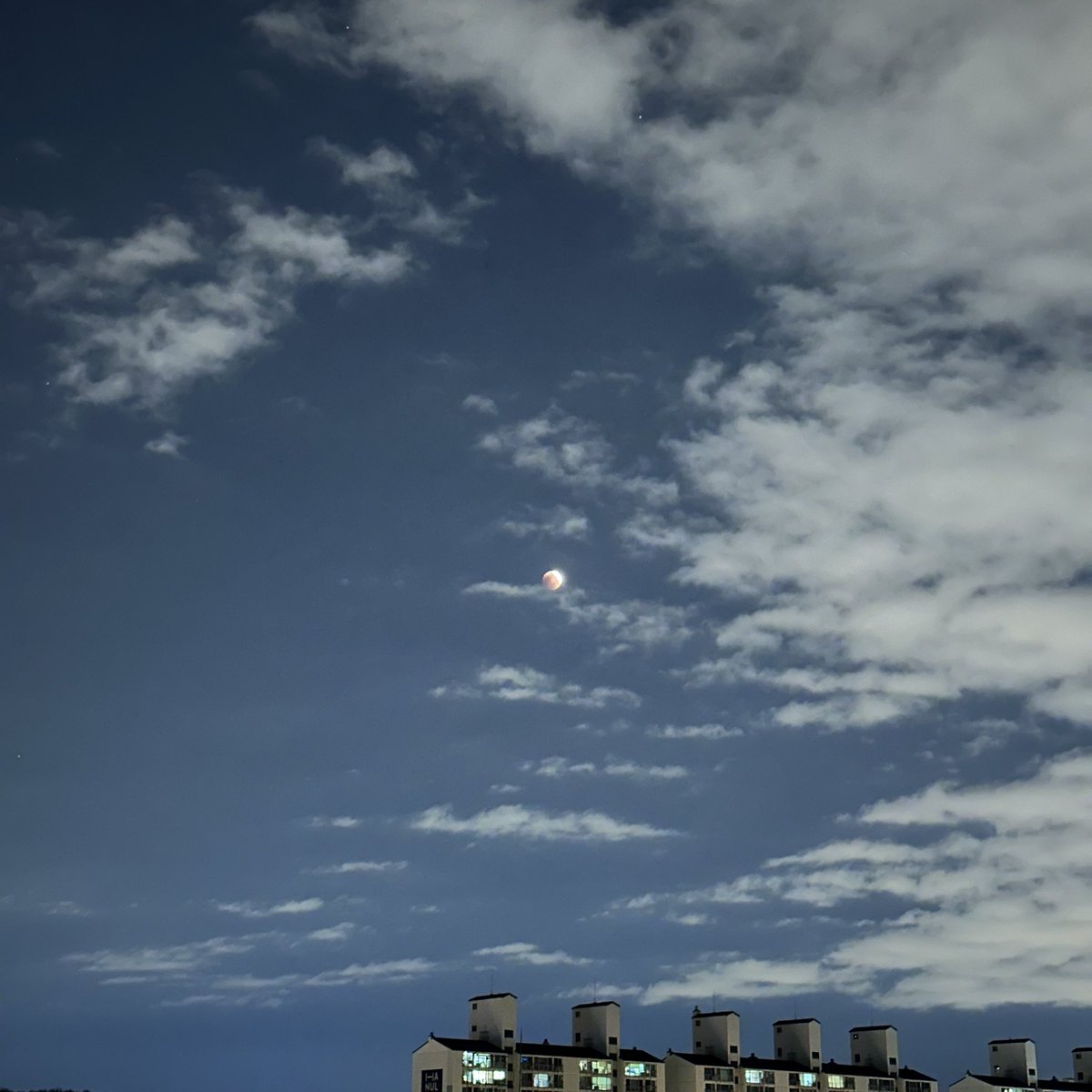 연남살롱 tweet media