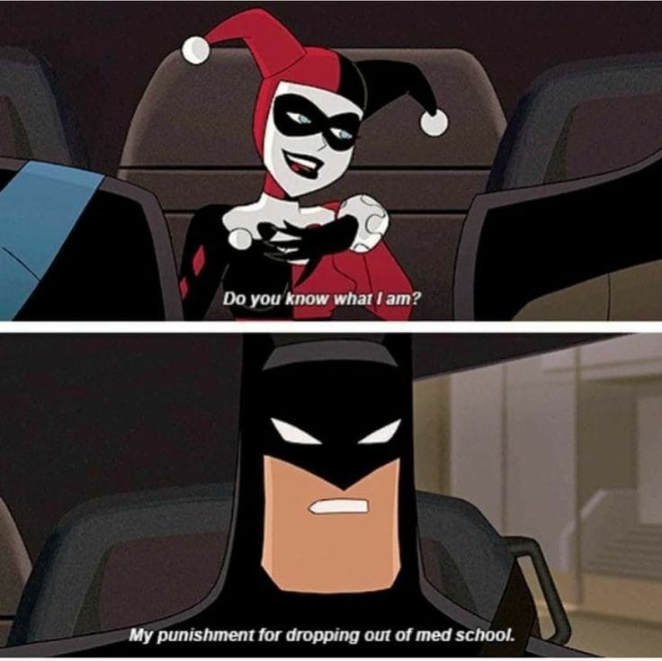 IMMORTAL ZOD tweet media