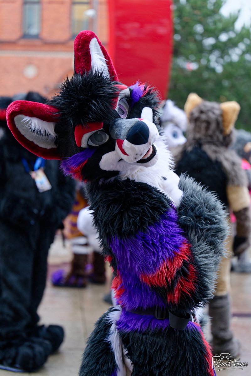 Furonimus Fox tweet media