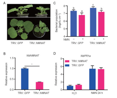 DoNotAge.org tweet media