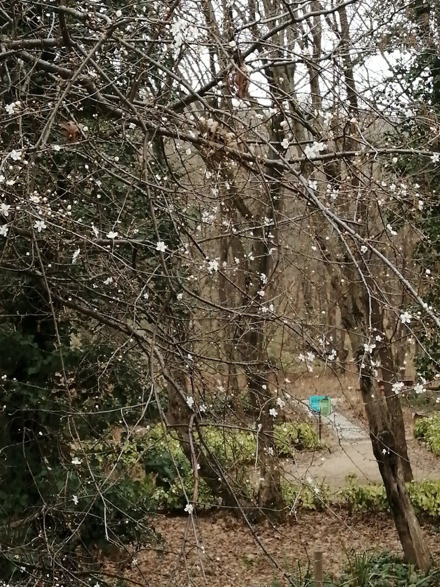 Rahmi Demir Kent ormanı.