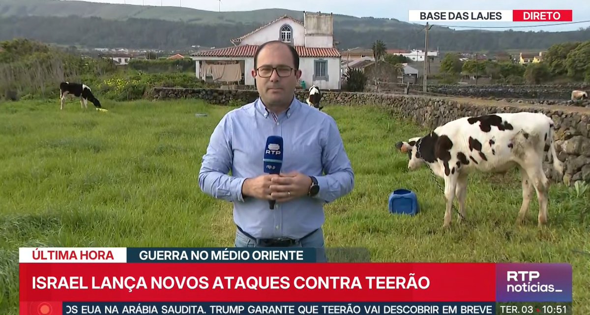 Zé Pedro Silva tweet media