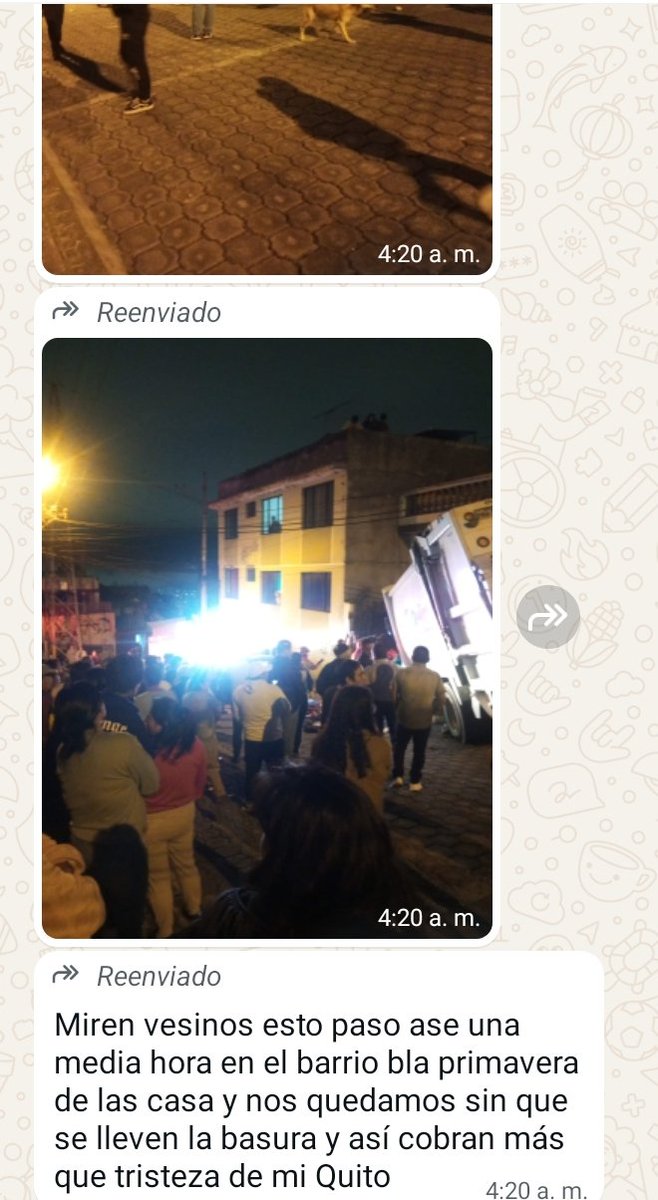 Jonnathan Carrera tweet media