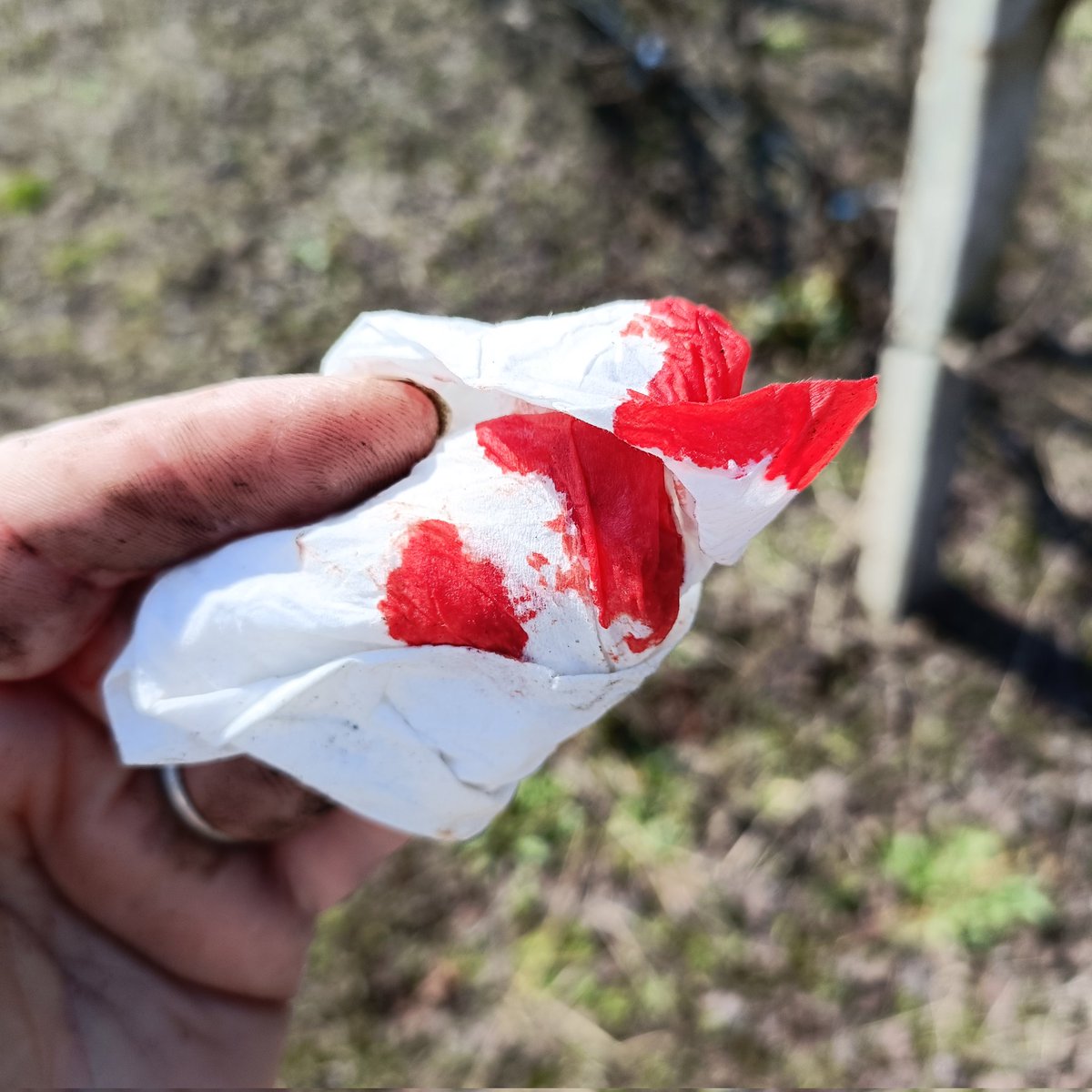 ✨ the girl who dances with the Devil✨ tweet media