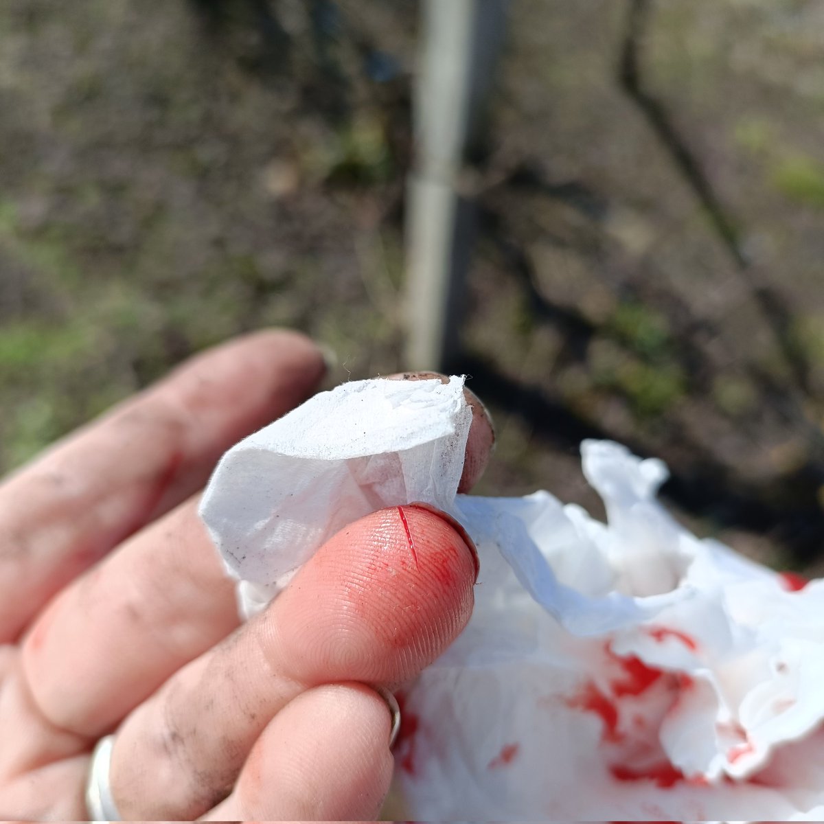 ✨ the girl who dances with the Devil✨ tweet media