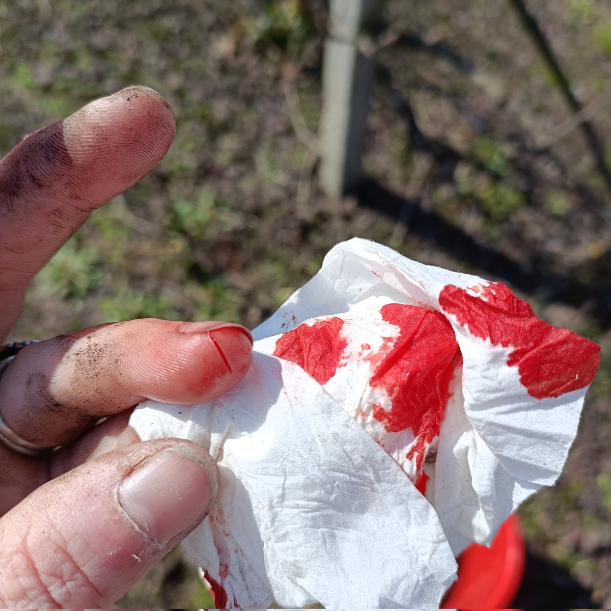 ✨ the girl who dances with the Devil✨ tweet media