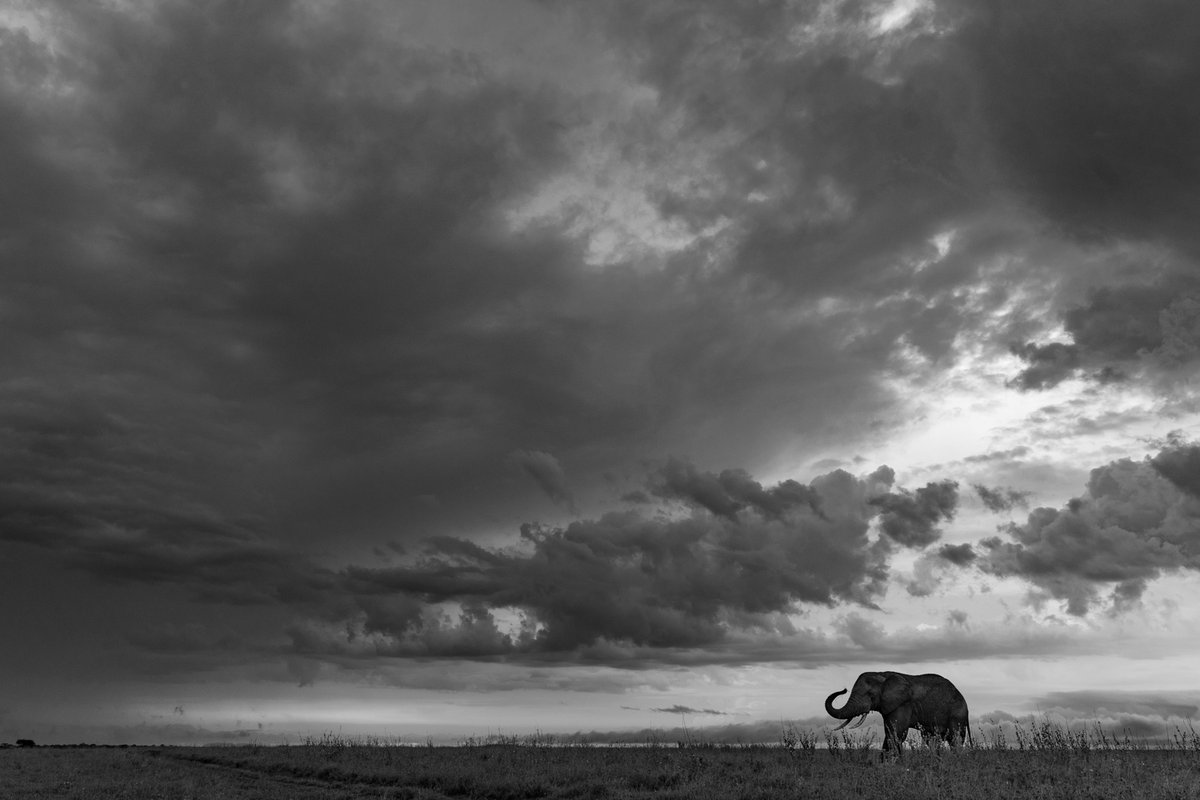 Richard Bernabe tweet media