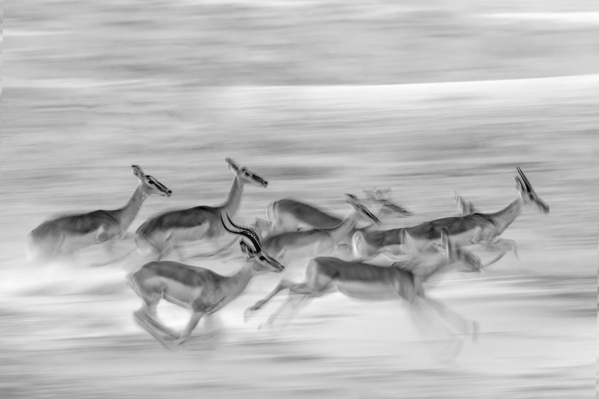 Richard Bernabe tweet media