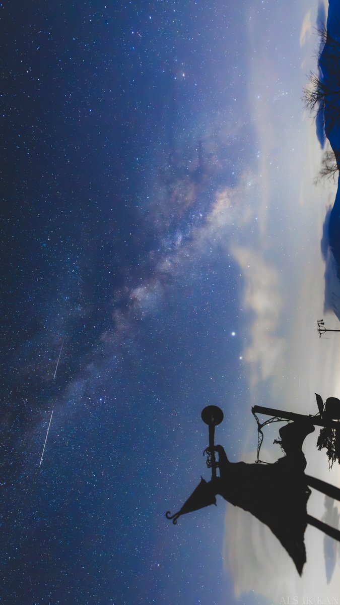 メダカちゃん tweet media