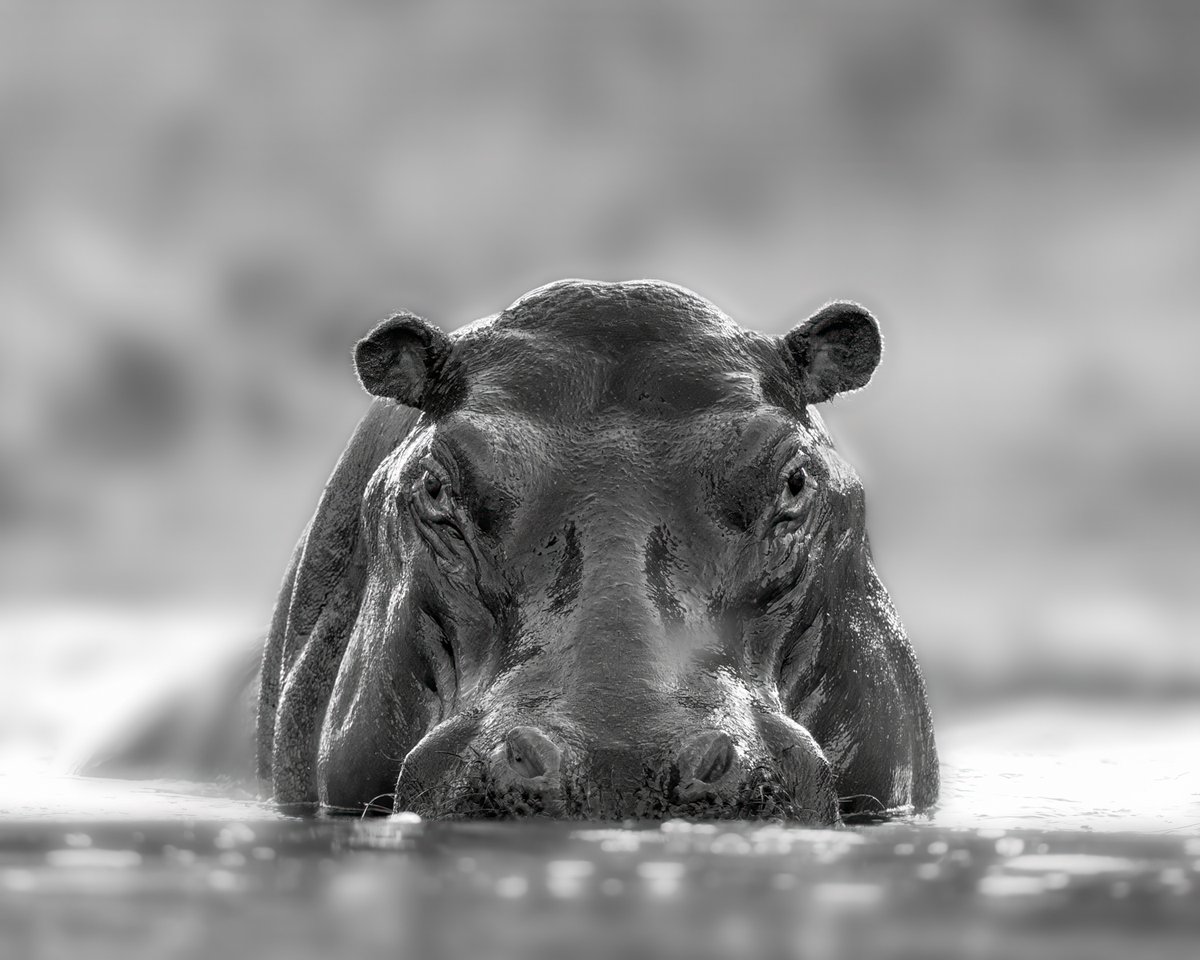 Richard Bernabe tweet media