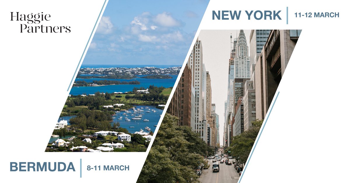 Haggie Partners tweet media