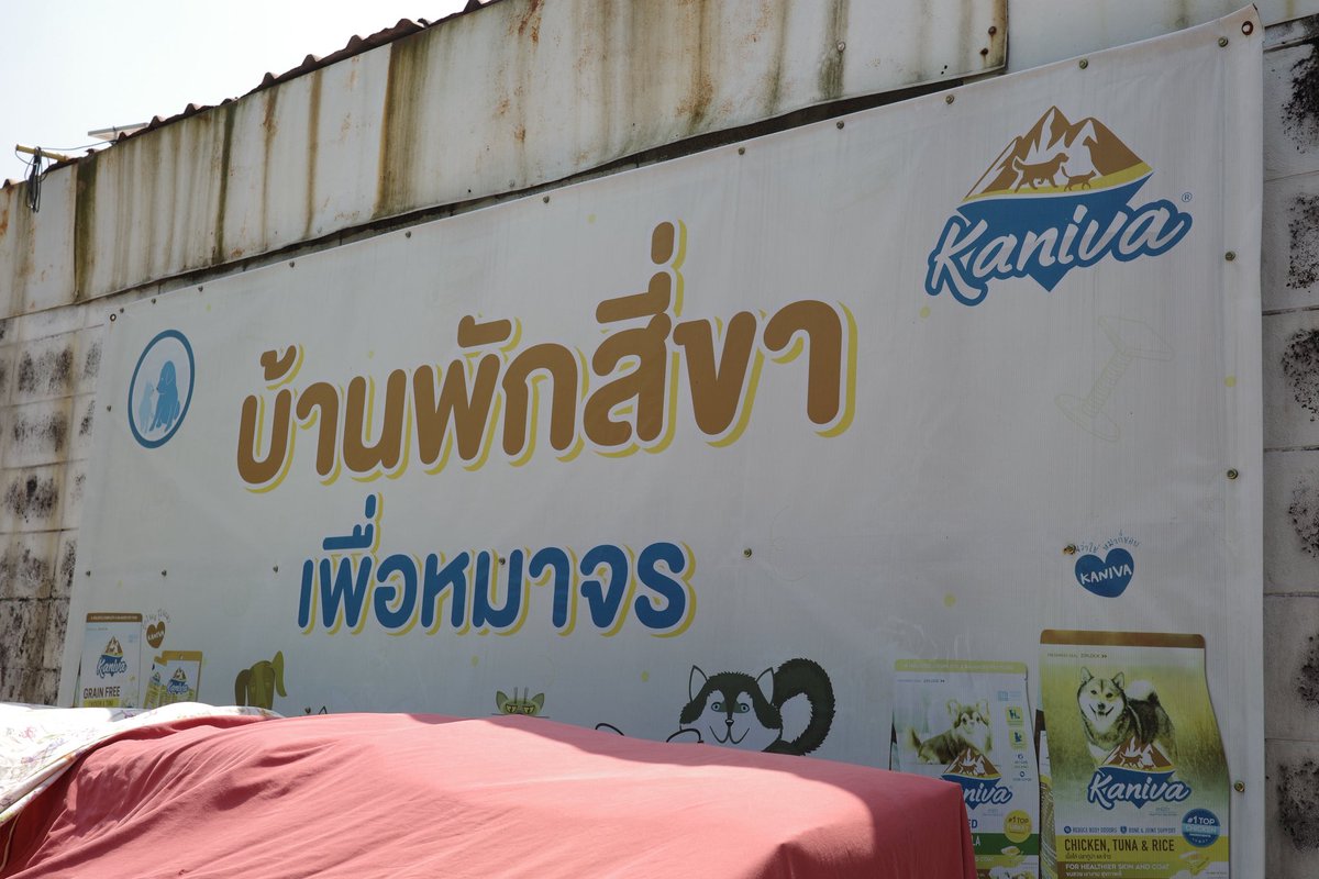 eaemdowtarott's tweet photo. ธ.กสิกร 226-381-2320
ชื่อบัญชี บ้านหมาแมวจรจัดยากไร้สระกระโจมฯ

ติดต่อสอบถามเพิ่มเติมได้ที่...
โทร 086-7751151(ป้าจุ๊)

ร่วมบริจาคส่งข้าวสารอาหารเม็ดและของใช้ต่างๆได้ที่

ป้าจุ๊บ้านพักสี่ขา โทร 086-7751151
27/2 ม.4 ซ.วัดพิรุณศาสตร์
ลำลูกกาคลอง10 ต.บึงทองหลาง อ.ลำลูกกา
จ.ปทุมธานี 12150

(สุนัขและแมวที่บ้านพักสี่ขาได้ทำหมันให้หมดแล้วทุกตัวทั้งตัวผู้และตัวเมีย)

https://t.co/aTbBkv4IdL